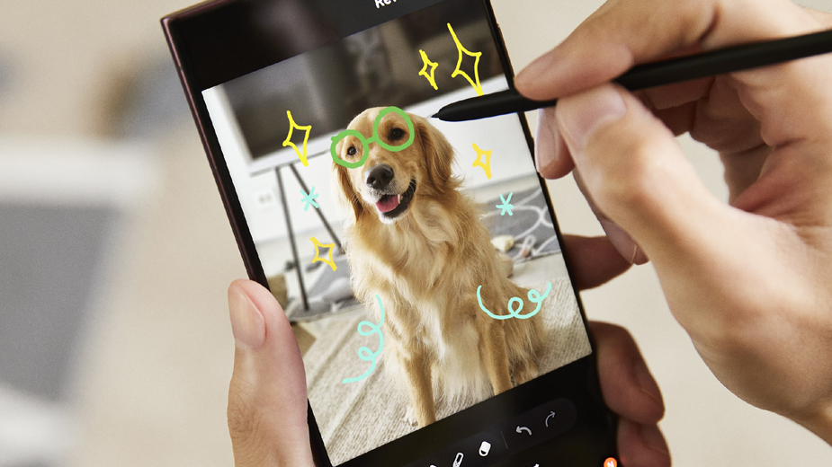 Druženje sa ljubimcima na Kalemegdanu: Samsung vam donosi nezaboravanu avanturu 1