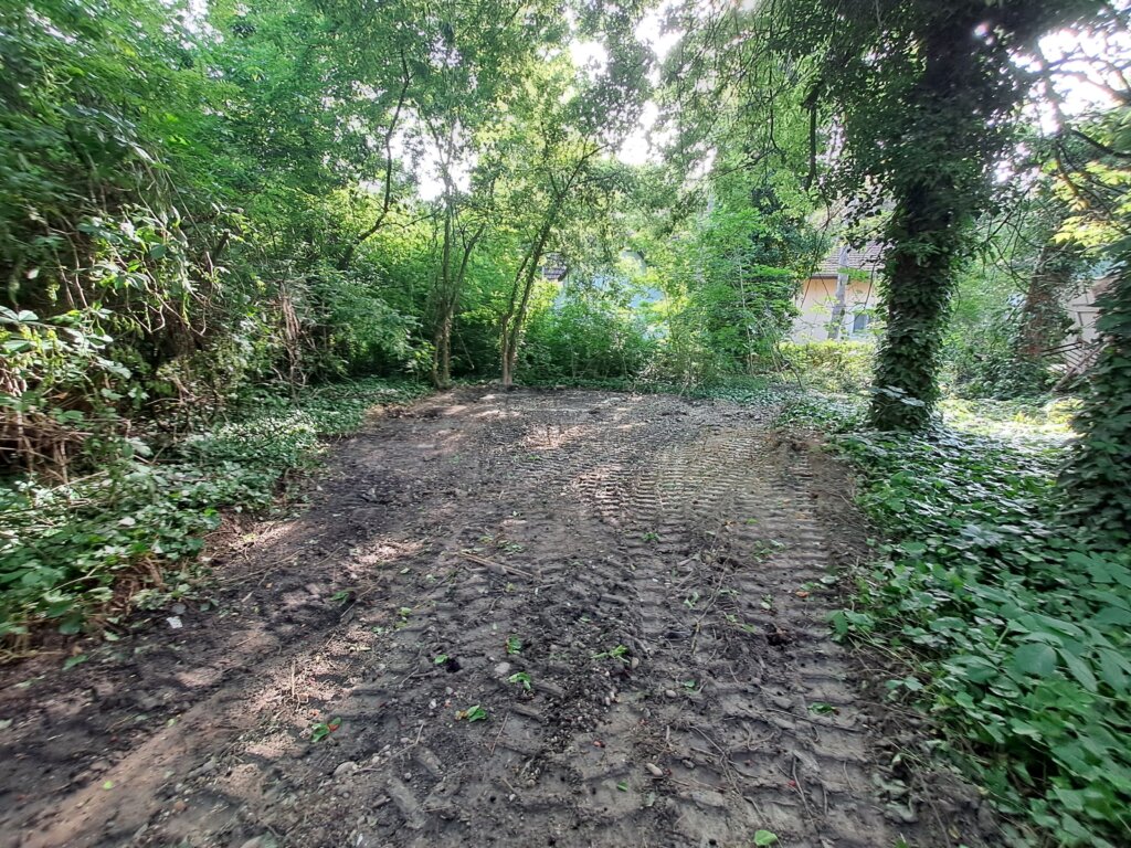 Završena prva faza uređenja Vikend naselja na Paliću: Uklonjeno 13 nelegalnih i devastiranih objekata 2