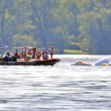 Šta je na potonulom brodu u Italiji radilo 20 špijuna? 3