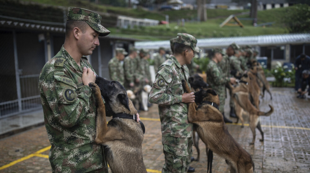 Kolumbijska vojska traga za herojskim psom koji je pomogao nalaženje dece u džungli Amazonije 1