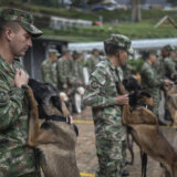 Kolumbijska vojska traga za herojskim psom koji je pomogao nalaženje dece u džungli Amazonije 5