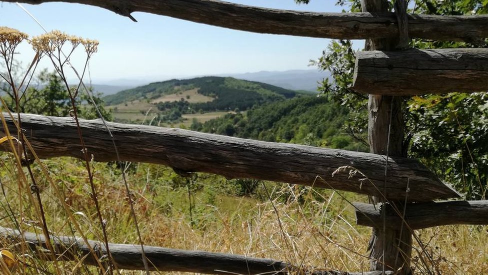 Srbija i privreda: Šta znači promena načina upravljanja javnim preduzećima i da li je to put za njihovu prodaju 2 priroda, selo