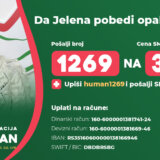 Pomozimo Jeleni da pobedi opaku bolest 7