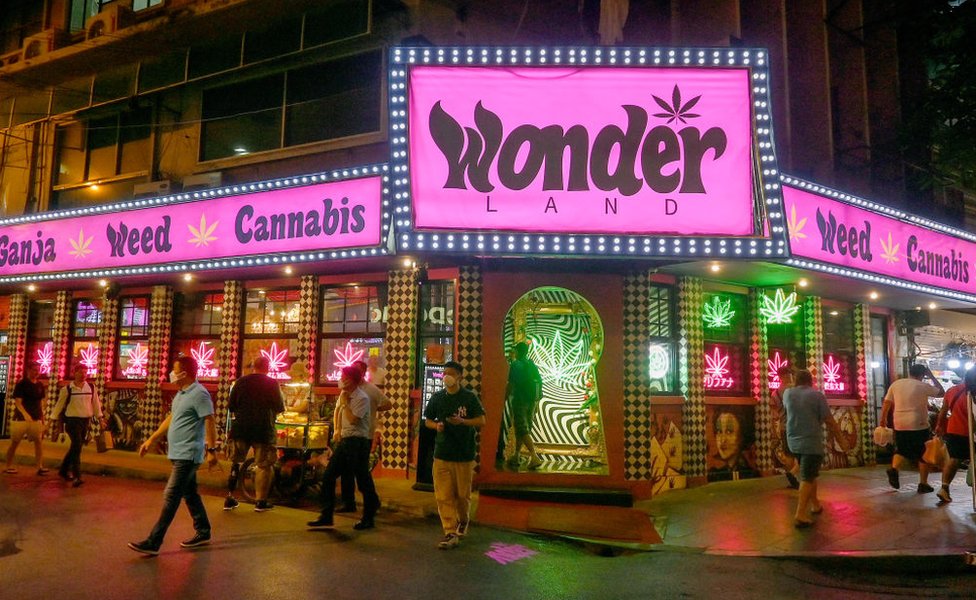 A view of the Wonderland marijuana outlet on Bangkok's Sukhumvit road. In the metropolitan area of Bangkok 1995 marijuana dispensaries/shops, have opened, and in downtown Bangkok 533 have opened since June 9, 2022.