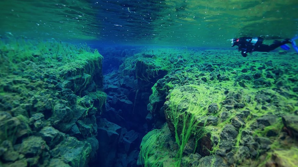 Nauka i priroda: Zastrašujući „mehurovi" veličine kontinenata u dubini Zemlje 5 Tektonske ploče