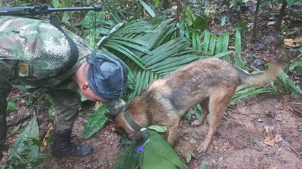 Pad aviona u Kolumbiji: Četiri deteta sama preživela u džungli 40 dana 2 A soldier and a dog examine a pair of scissors on the rainforest floor