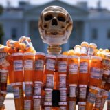 Medicina i nauka: Da li postoji „zavisnička ličnost“ 5