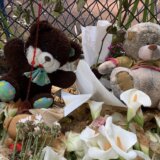 Tragedija u Beogradu: Podele, suze i jedna gitara, iz ugla roditelja đaka škole „Vladislav Ribnikar", mesec dana kasnije 11