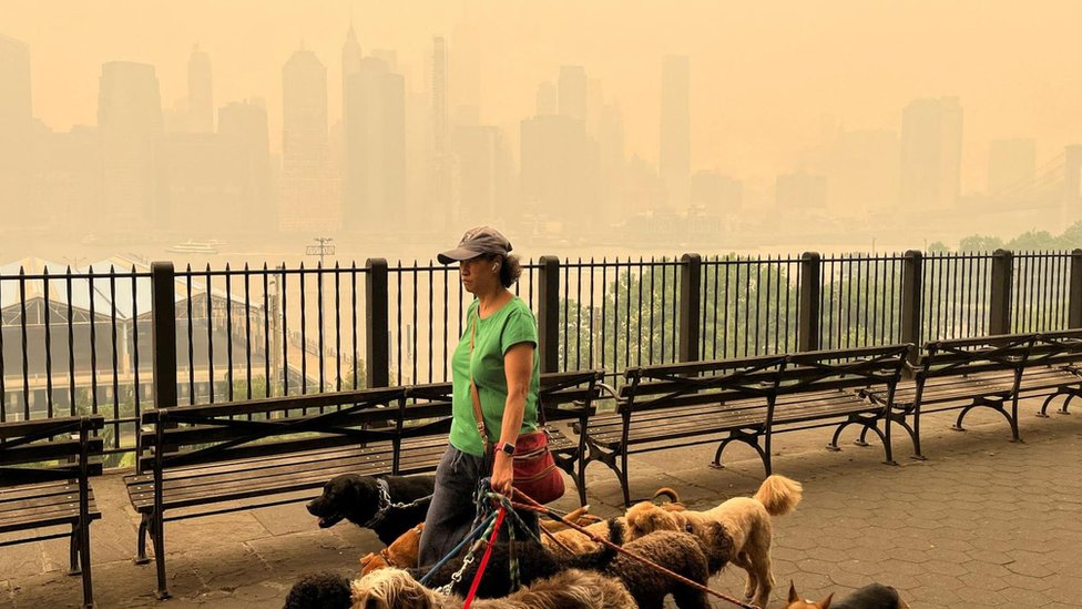 Severna Amerika: Besne šumski požari u Kanadi, milioni ljudi u Severnoj Americi ugroženi zbog dima 4 A dogwalker is seen passing the haze-obscured NYC skyline