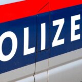 Austrija: Majka pod istragom jer je držala sina u kavezu za pse 8