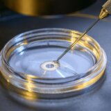 Naučnici su uspeli da stvore ljudski embrion: Zašto je to važno 1