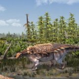 Velika Britanija: Otkrivena nova vrsta dinosaurusa na ostrvu Vajt 6