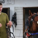 Konjički sport i Nikola Jokić: Sve što treba da znate o konjički sport u Srbiji 5