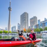 Kanada i izbori: Zašto 101 čovek i jedan pas žele da postanu gradonačelnik Toronta 9