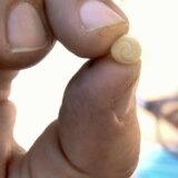 Sirija i droge: BBC otkrio nove veze trgovine drogom keptagon sa najvišim sirijskim zvaničnicima 8