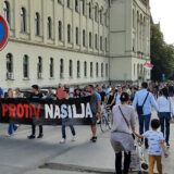 Prelević na protestu "Zrenjanin protiv nasilja": Niko puzeći nije došao do demokratije, pa neće ni Srbi 13