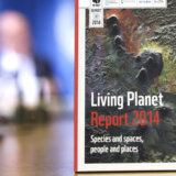 Rusija zabranila rad Svetskom fondu za prirodu 2