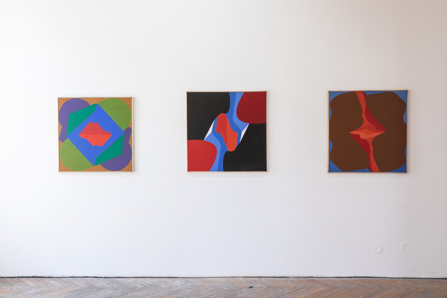 Predstavljena knjiga ’’Slikarstvo Mire Brtke - Rimski period’’ u Muzeju savremene umetnosti u Beogradu 3