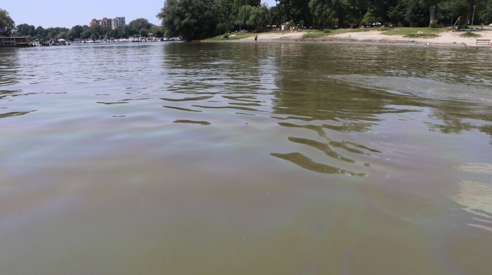 Efekti izlivanja nafte u Novom Sadu tek će da se osete: Zabranjeno kupanje, ne savetuje se ni pecanje 1