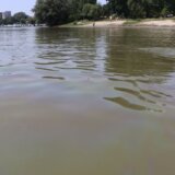 Efekti izlivanja nafte u Novom Sadu tek će da se osete: Zabranjeno kupanje, ne savetuje se ni pecanje 10