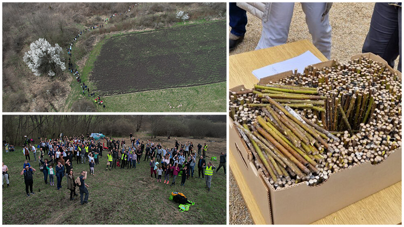 U akciji pošumljavanja SBB fondacije zasađeno preko 115.000 sadnica širom Srbije 1