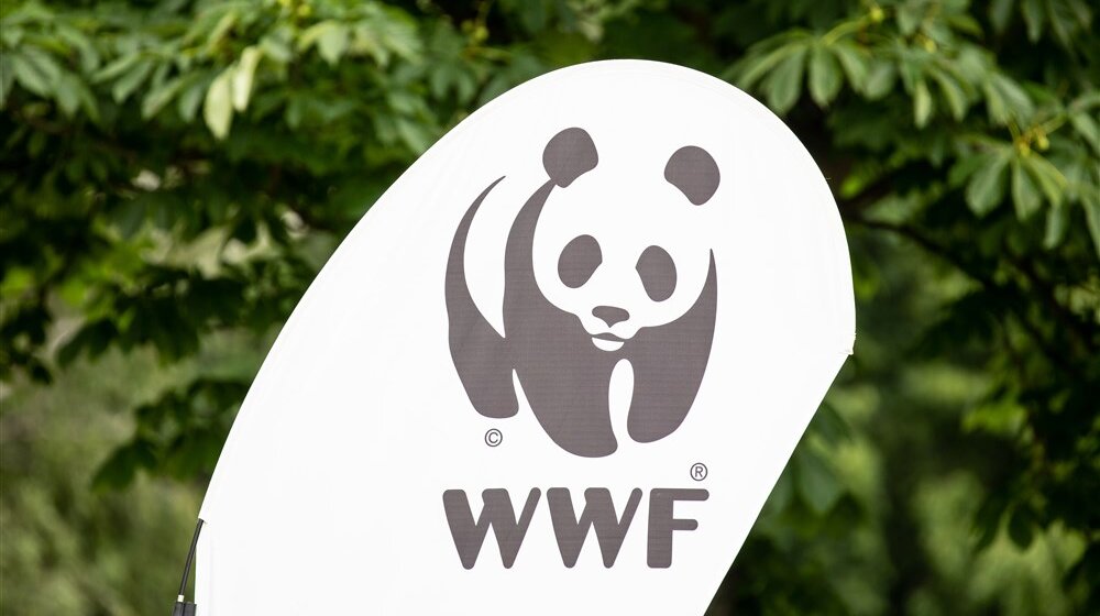 Rusija označila Svetski fond za prirodu kao nepoželjnu organizaciju 1