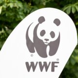 Rusija označila Svetski fond za prirodu kao nepoželjnu organizaciju 12