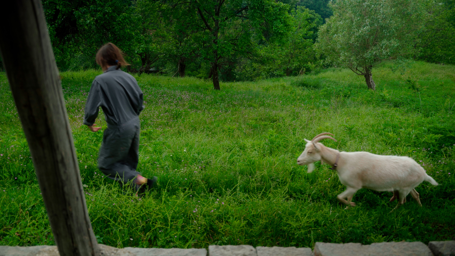 Subjekti koji prevazilaze rod kao fantazije androginog ideala: Umetnica povodom izložbe "Gde će ti duša?" 6