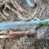 Arheolozi pronašli mač star 3.000 godina tako dobro očuvan da i dalje blista 6