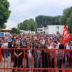 Radnici fabrike obuće Falk Ist u Knjaževcu zavrili štrajk za danas, nastavljaju u ponedeljak 29