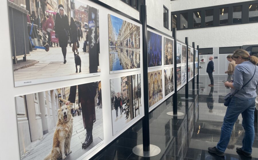 (FOTO) Šta Srpkinju u Stokholmu podseća na Beograd, a šta Šveđanina u Beogradu podseća na Stokholm? 1