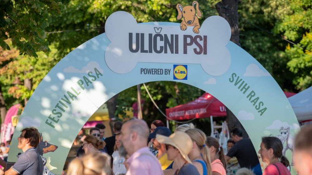 Ulični psi, festival pasa svih rasa 1