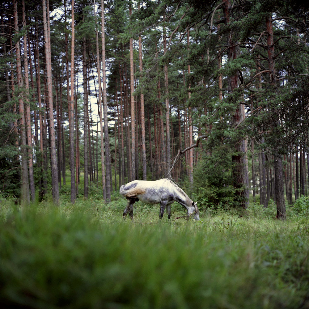 Vođenje kroz izložbu „Prošlost u sadašnjosti“ u galeriji Hestia 3 Vođenje kroz izložbu „Prošlost u sadašnjosti“ u galeriji Hestia 3