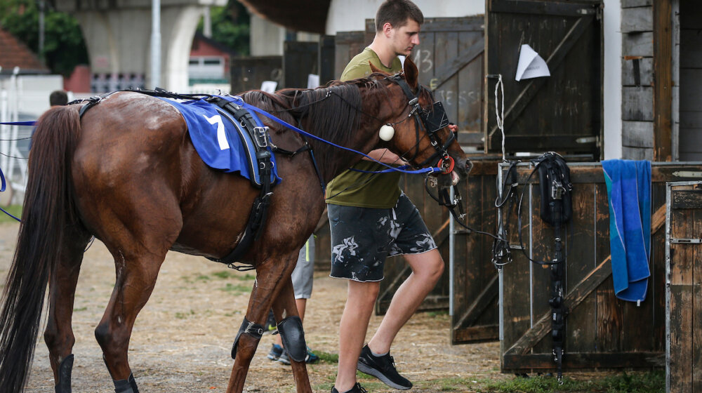 Parada? Konjičke trke su mi u nedelju, pitaću da mi pozajme avion 1