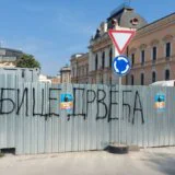 „Ubice drveća, betoniranje vam je u krvi”: Posečene lipe kod starog Suda probudile građanski aktivizam u Kragujevcu (FOTO) 6