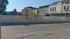 „Ubice drveća, betoniranje vam je u krvi”: Posečene lipe kod starog Suda probudile građanski aktivizam u Kragujevcu (FOTO) 2