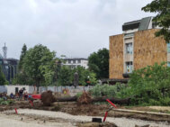 „Ubice drveća, betoniranje vam je u krvi”: Posečene lipe kod starog Suda probudile građanski aktivizam u Kragujevcu (FOTO) 6