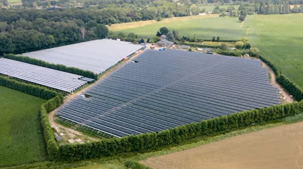 (VIDEO) Holandija će imati najveću solarnu elektranu iznad malinjaka u Evropi 1