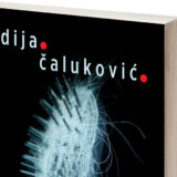 "Bukvalno. Otprilike": Poetska drama Tadije Čalukovića u kojoj čitatelj konstantno priželjkuje odgovor 7