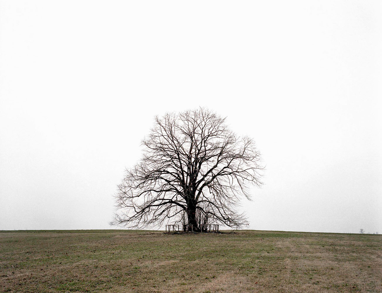 Vođenje kroz izložbu „Prošlost u sadašnjosti“ u galeriji Hestia 4 Vođenje kroz izložbu „Prošlost u sadašnjosti“ u galeriji Hestia 4