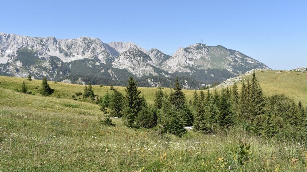 Herojska bitka na Sutjesci prepuštena zaboravu 1