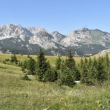 Herojska bitka na Sutjesci prepuštena zaboravu 5