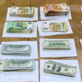 Istorijska zaplena deviza na graničnom prelazu "Kelebija": Više od 15 miliona evra 10