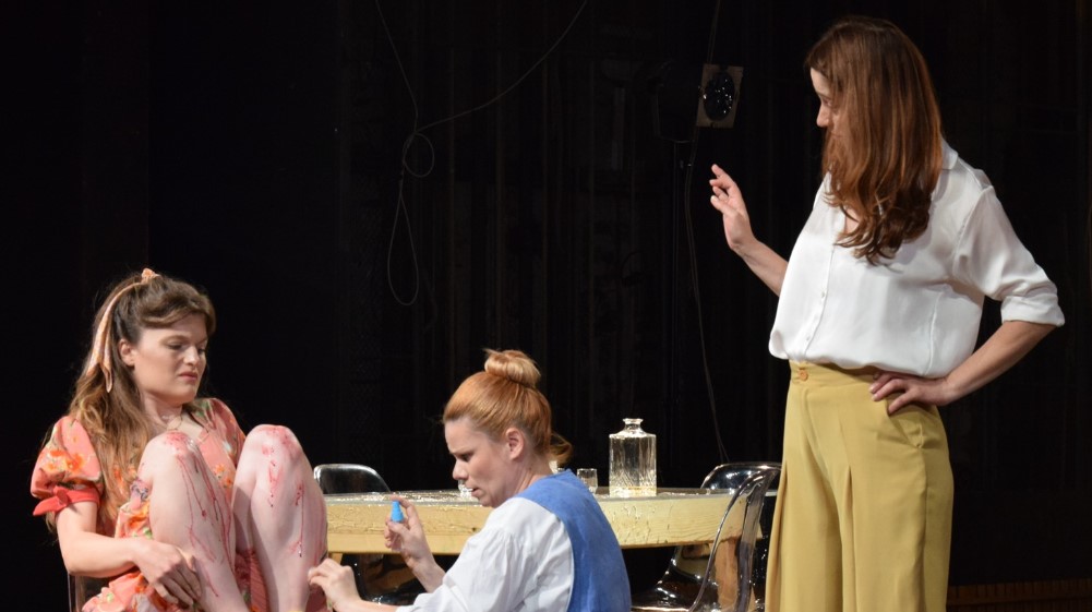 Izvedena predstava “Mesec dana na selu” na Festivalu “Joakim Vujić” 1