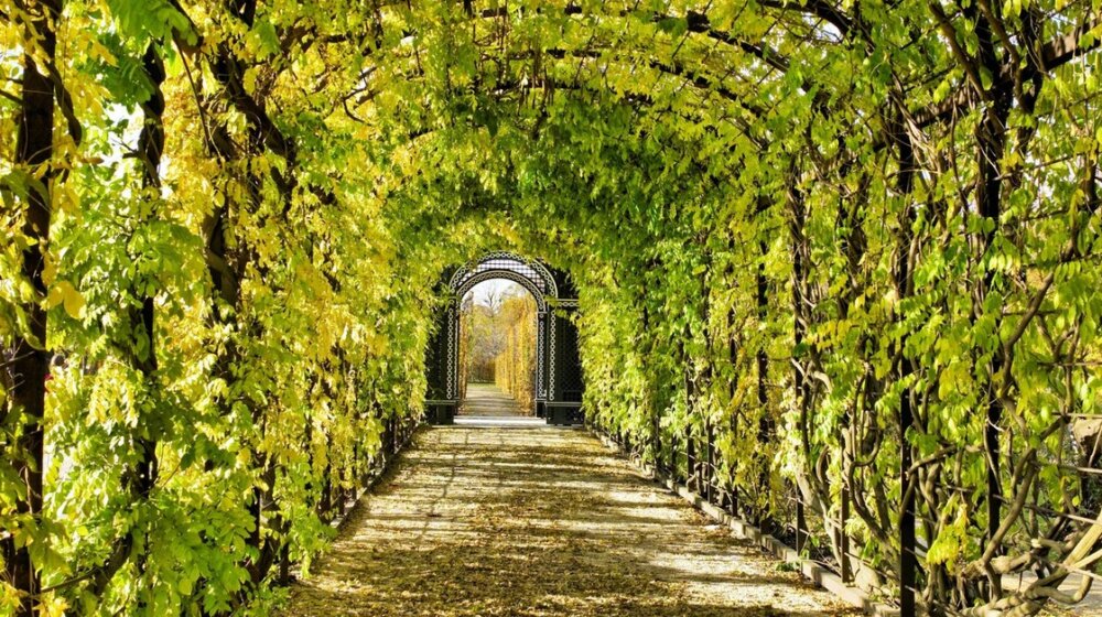 Ovo su najbolji gradovi za život u 2023. godini: Jedan nam je na šest sati vožnje 1