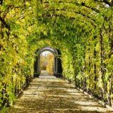 Ovo su najbolji gradovi za život u 2023. godini: Jedan nam je na šest sati vožnje 12