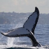 Ovo je najpoželjnija država na svetu 1