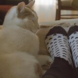 Razlog zbog kog bi trebalo da nosimo čarape tokom spavanja 7