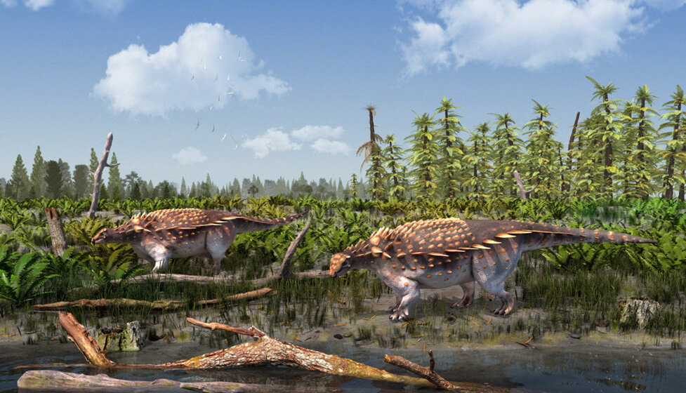 Novo otkriće: Oklopni dinosaurusi pronađeni na ostrvu Vajt 1