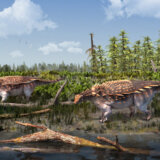 Novo otkriće: Oklopni dinosaurusi pronađeni na ostrvu Vajt 4